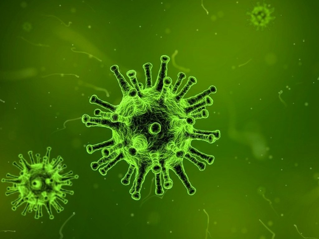 Защитит от всех вирусов: американские ученые нашли универсальное оружие против многих заболеваний