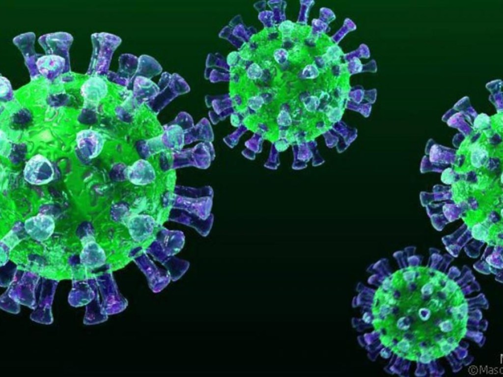 Стали известен главный способ инфицирования коронавирусом