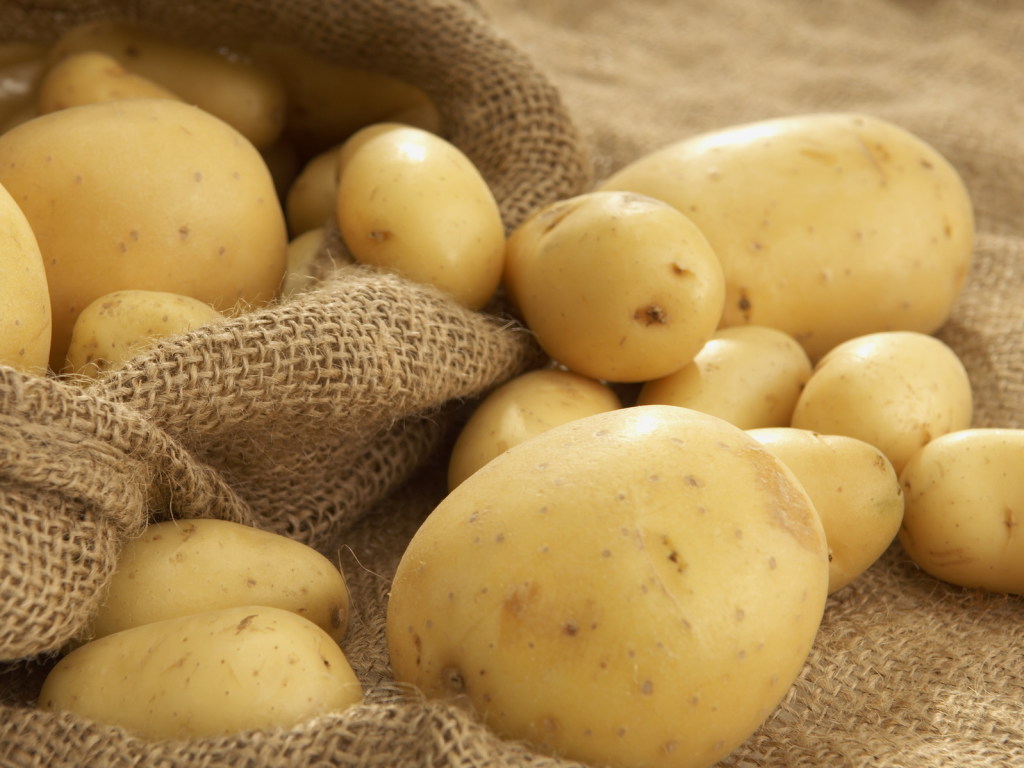 Минимальные затраты производителя картофеля на один гектар колеблются от 75 до 150 тысяч гривен