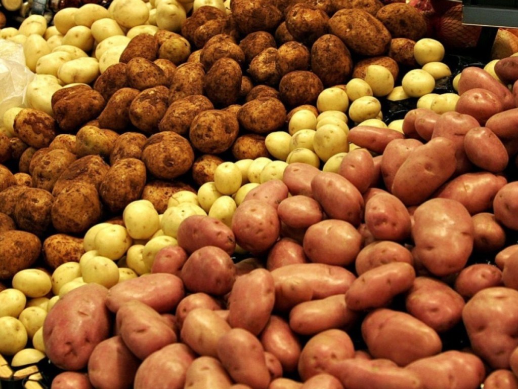Эксперт рассказал, что убивает картофелеводство в Украине