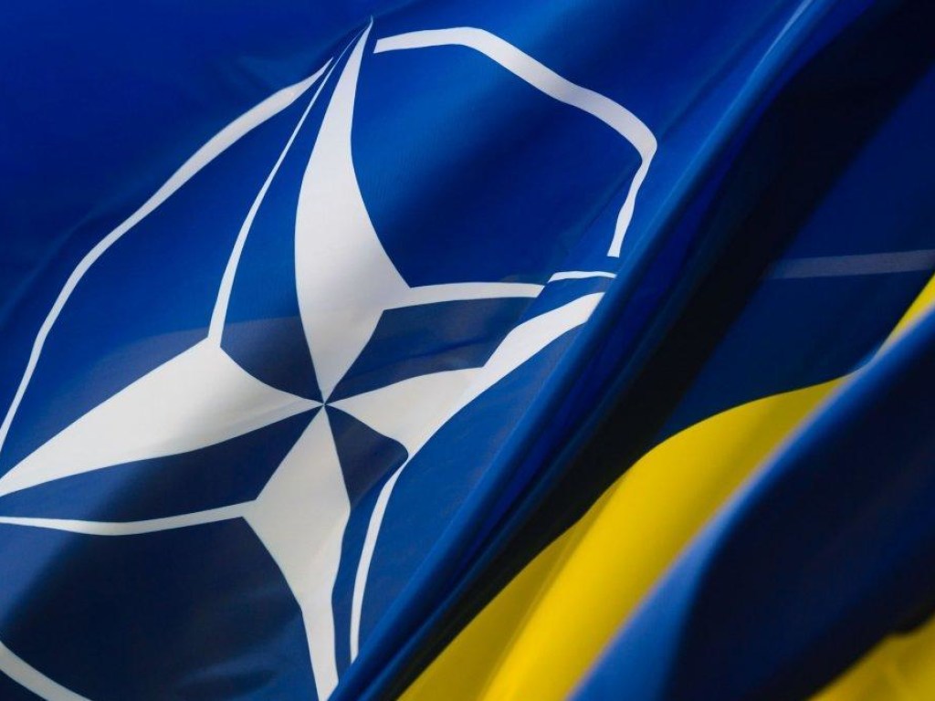 Украинская армия присоединится к миссии НАТО в Ираке – Загороднюк