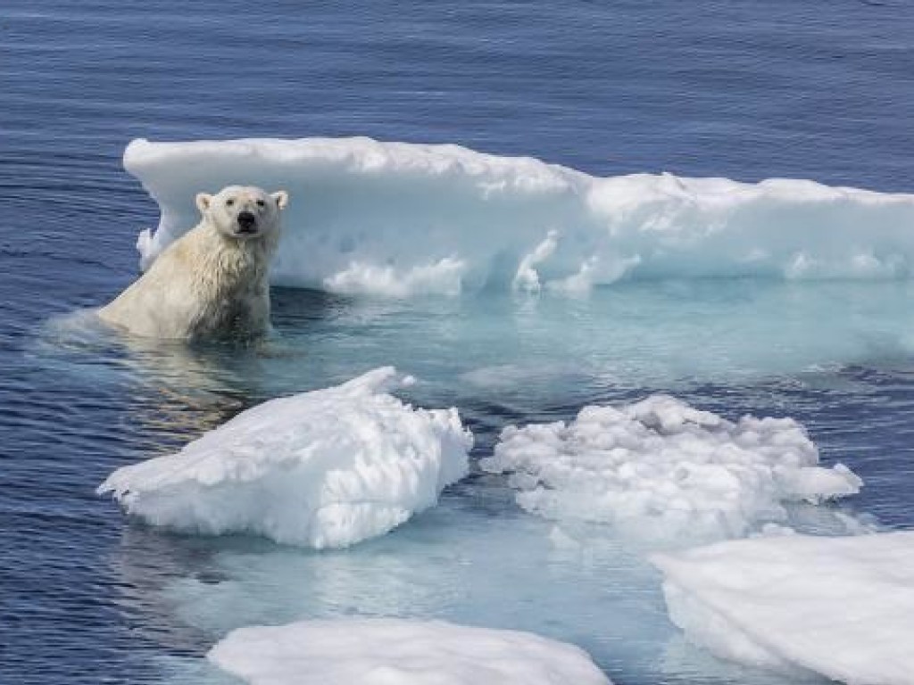 Власти Гренландии планируют продавать талую воду ледников