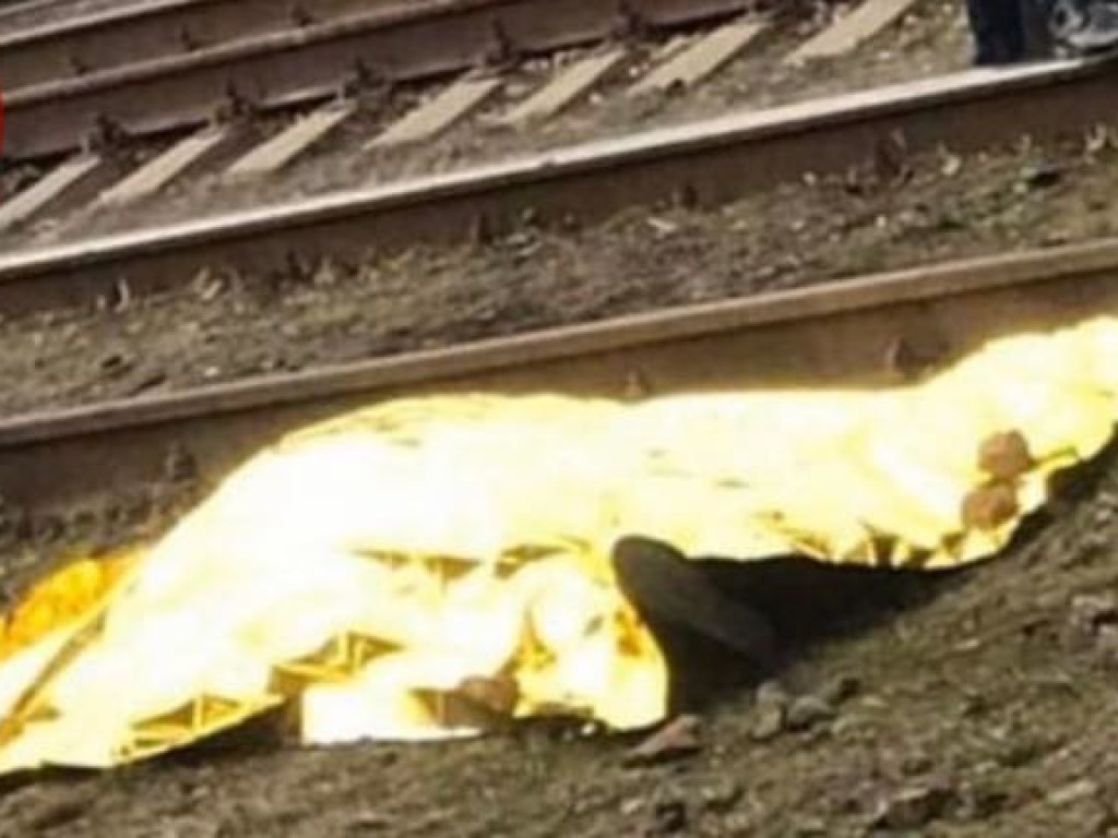 Трагедия под Киевом: поезд насмерть сбил пешехода (ФОТО)