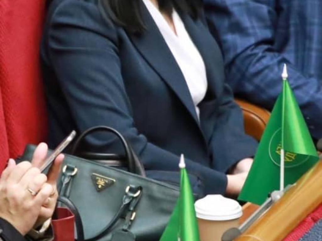 Нардеп Виктория Кинзбургская показала в Раде сумку от Prada за 63 тысячи гривен (ФОТО)