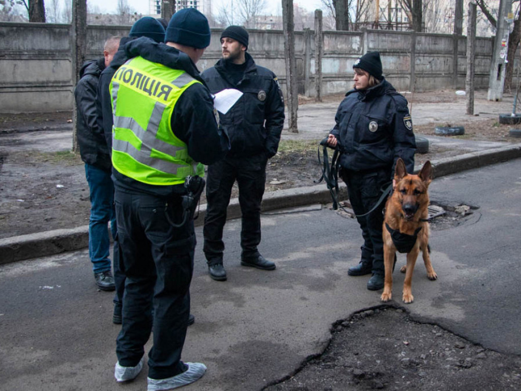 Мужчина убил и расчленил тёщу в Киеве: в Сети опубликовали видео штурма квартиры полицией