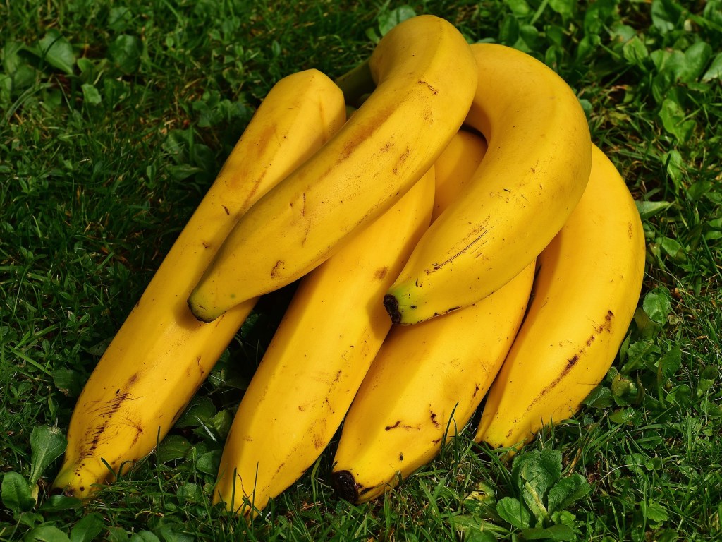 «Вместо медикаментов»: у бананов есть свойства антибиотика &#8212; врачи