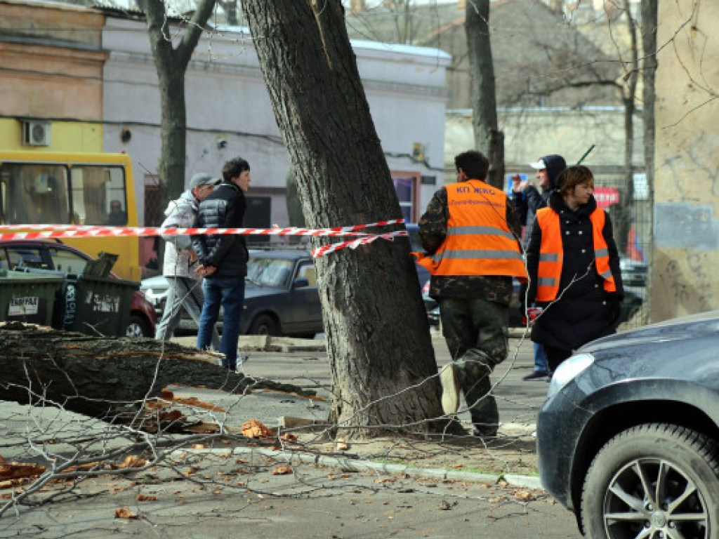 Ураган в Одессе: от рухнувшего дерева погибла 69-летняя женщина (ФОТО)
