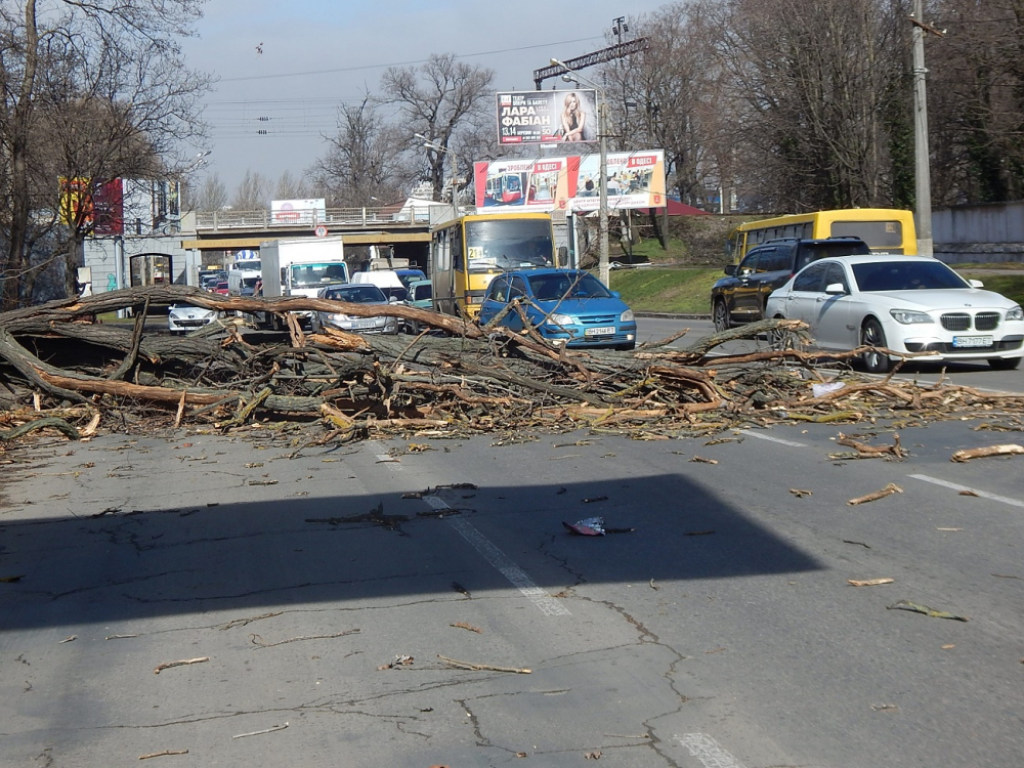 Ураган в Одессе: падают деревья, балконы, остановки и билборды (ФОТО, ВИДЕО)