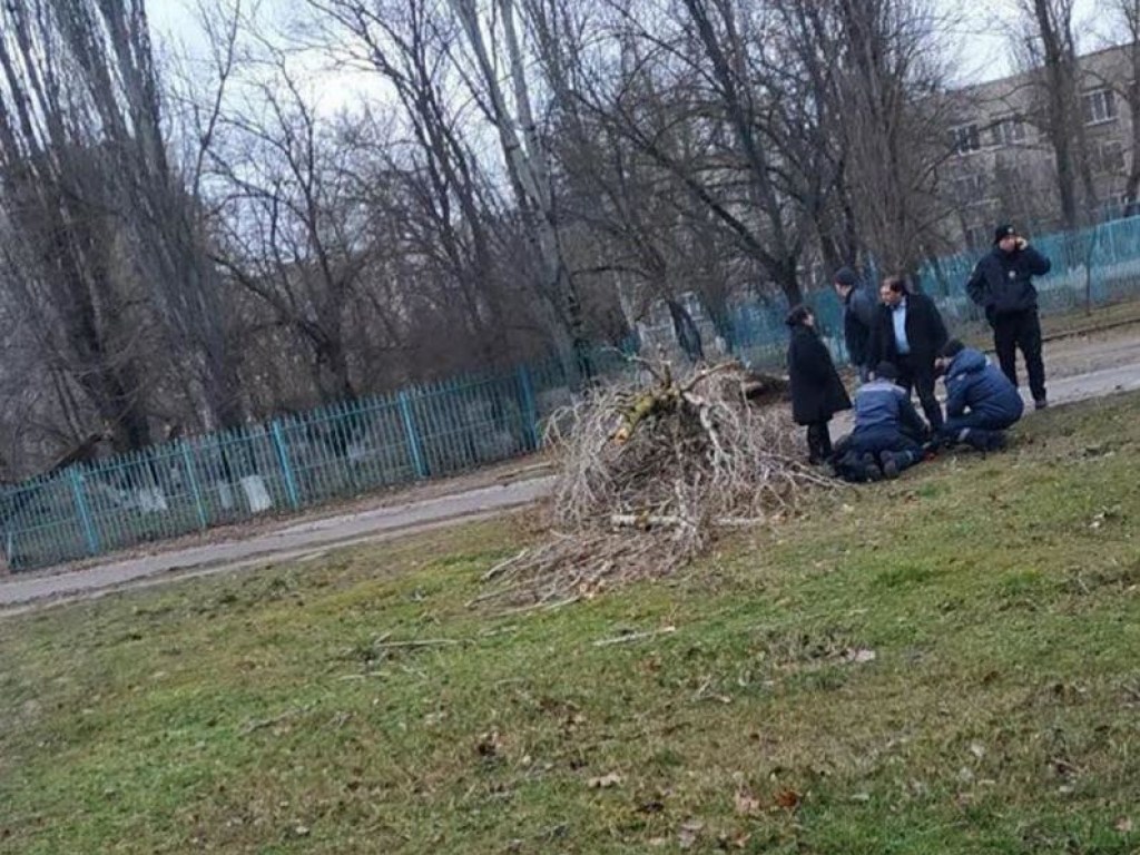 В Херсоне возле школы девочку убило упавшим деревом (ФОТО)
