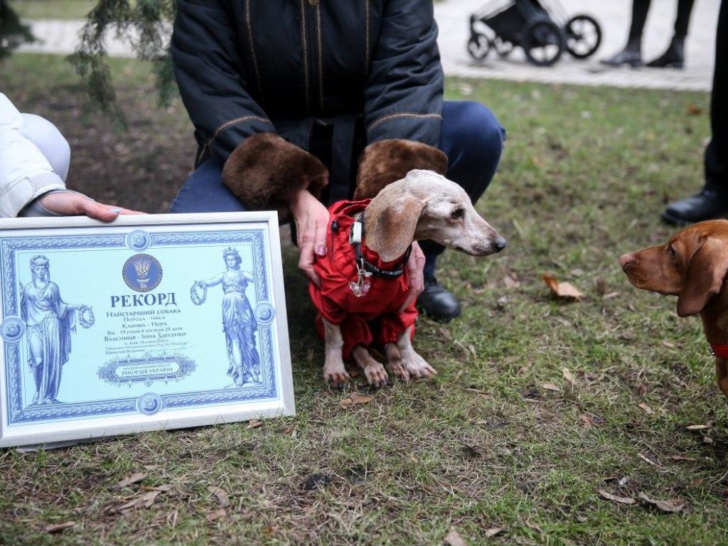 Умерла самая старая собака Украины (ФОТО)