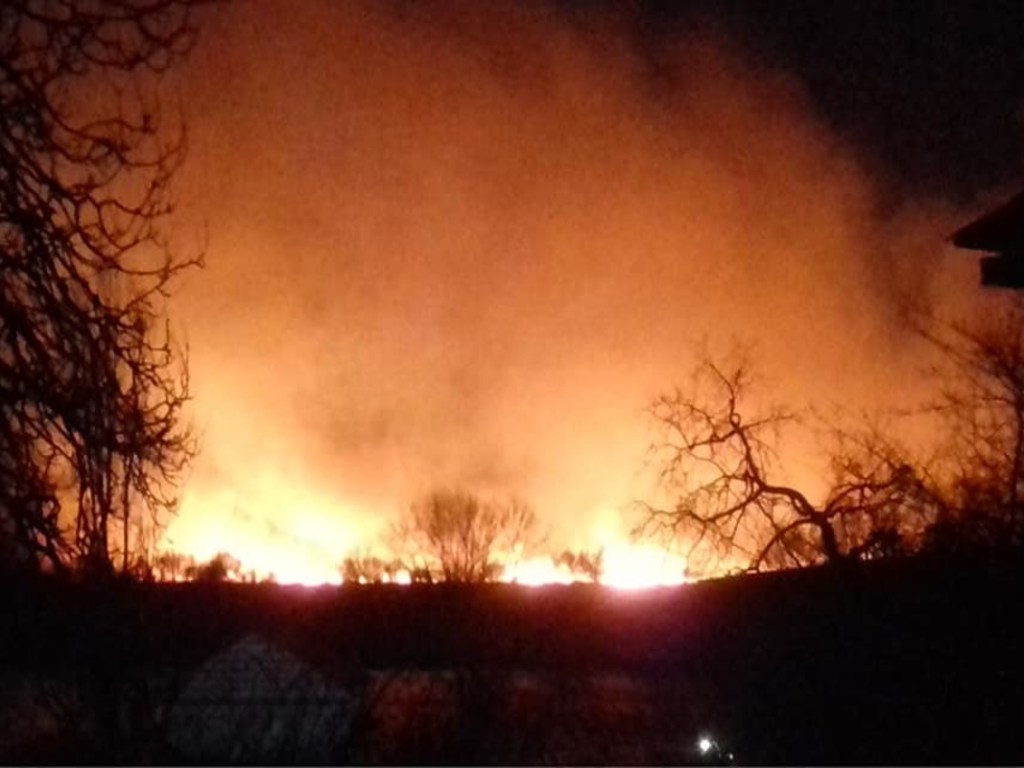 «Дорога в ад»: в национальном парке Одессы произошел масштабный пожар (ФОТО, ВИДЕО)