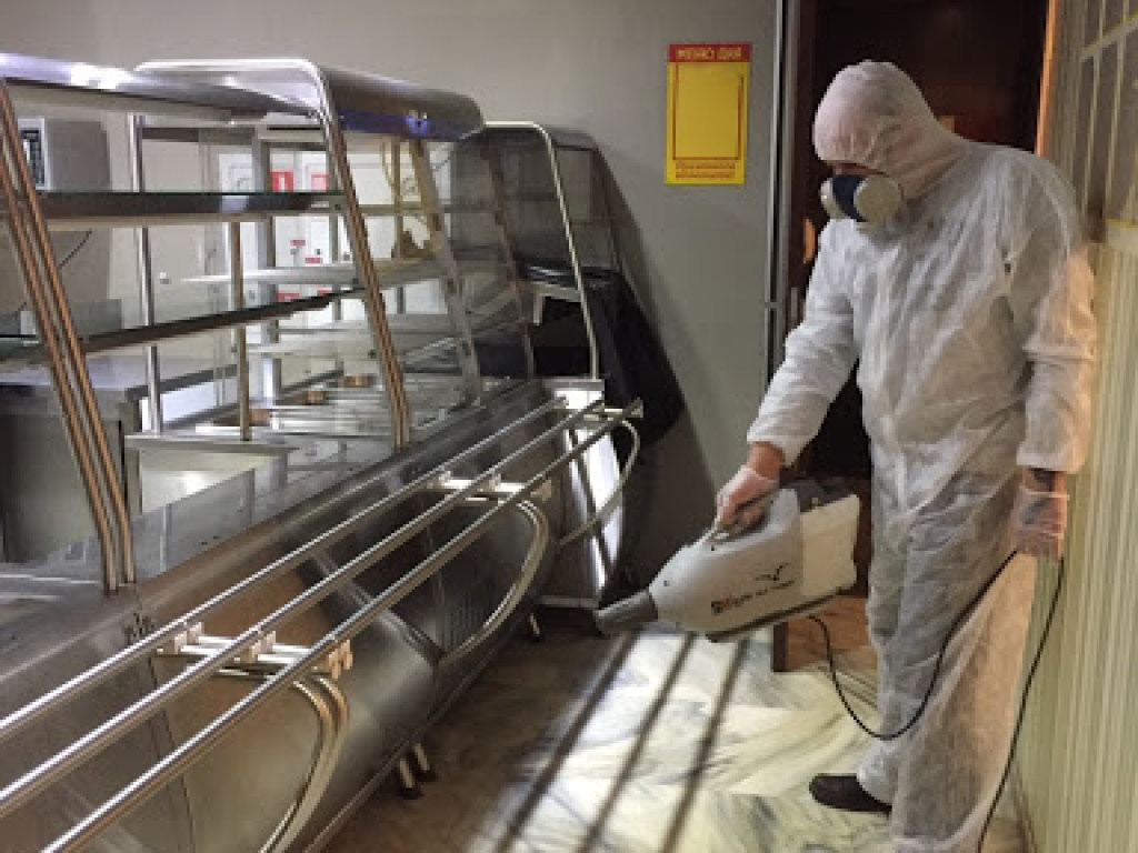 «Операция дератизация»: в Москве предприняты беспрецедентные меры по предотвращению эпидемии коронавируса