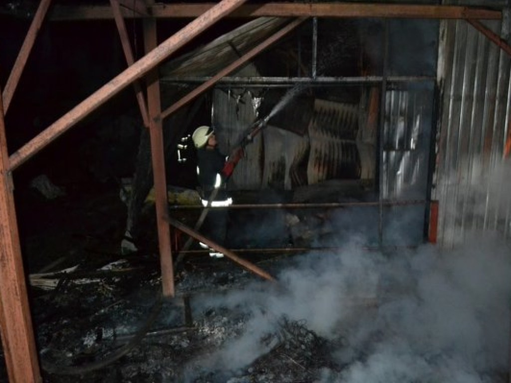В Одессе сгорели десятки домов для отдыха: подозревают поджог (ФОТО)