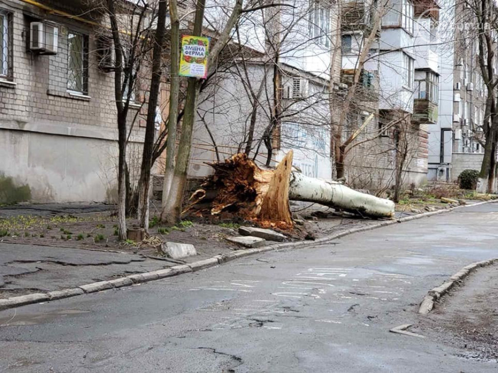 В Мариуполе штормовой ветер вырывает с корнями деревья и срывает крыши (ФОТО, ВИДЕО)