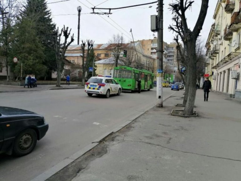 В Житомире троллейбус сломал светофор (ФОТО)
