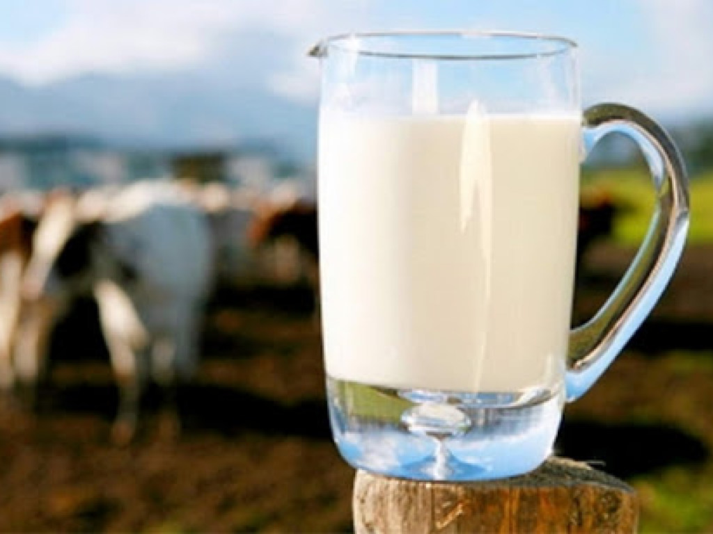 В Украине производители молочных продуктов столкнулись с проблемой дефицита сырья &#8212; эксперт
