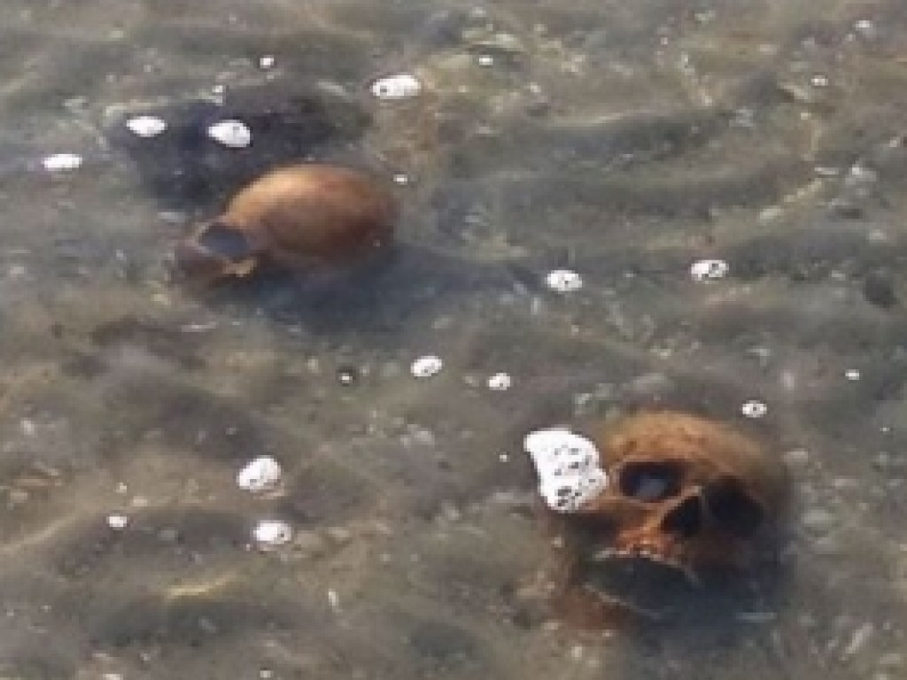 На берег моря в Николаевской области вынесло черепа людей (ФОТО, ВИДЕО)
