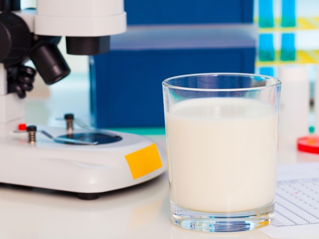 В Украине идет волна фальсификации молочных продуктов: производители экономят на ингредиентах ради снижения себестоимости &#8212; эксперт