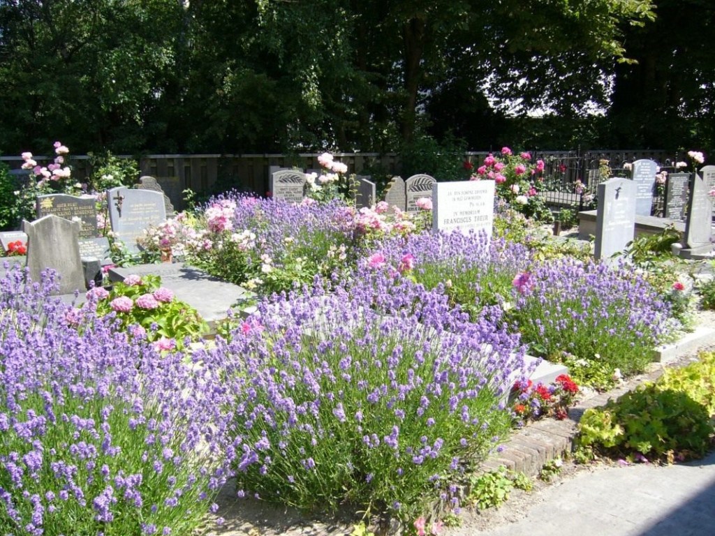 На Волыни мужчины воровали цветы с кладбища для продажи