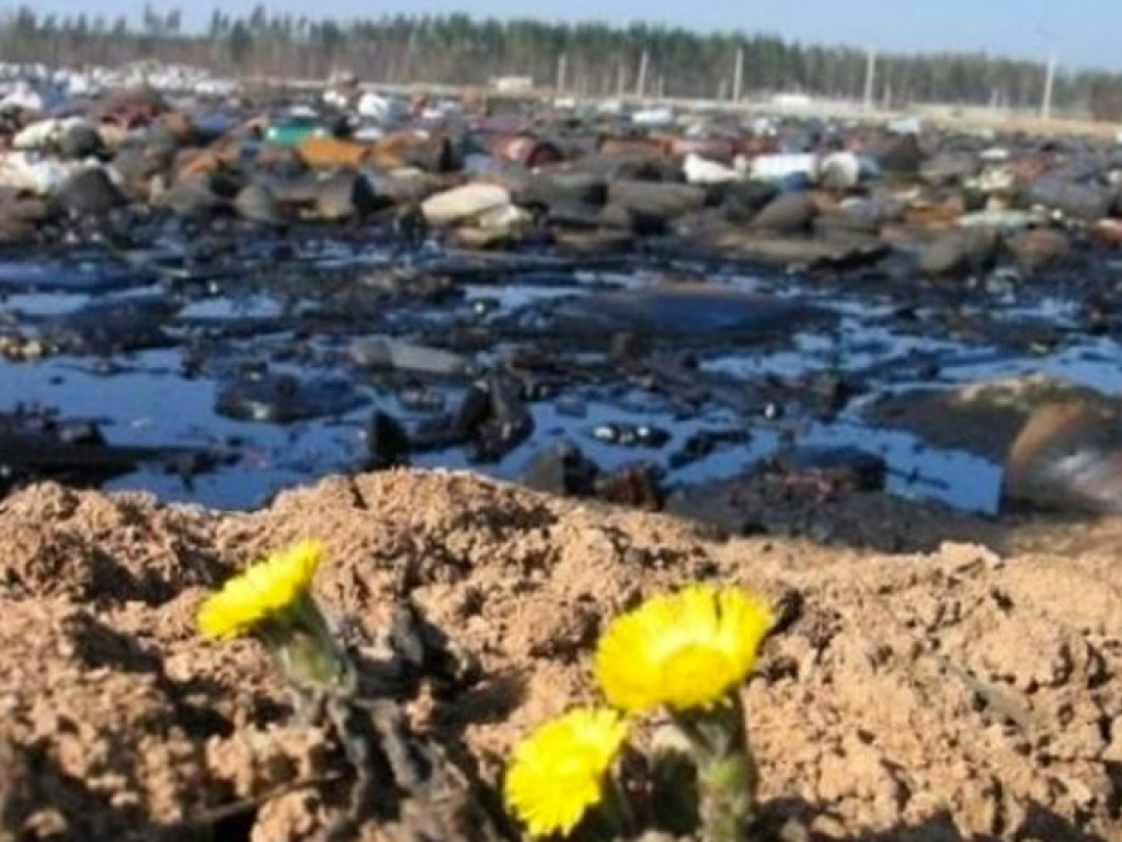 Украинские реки превращаются в ядовитый химический коктейль – эколог