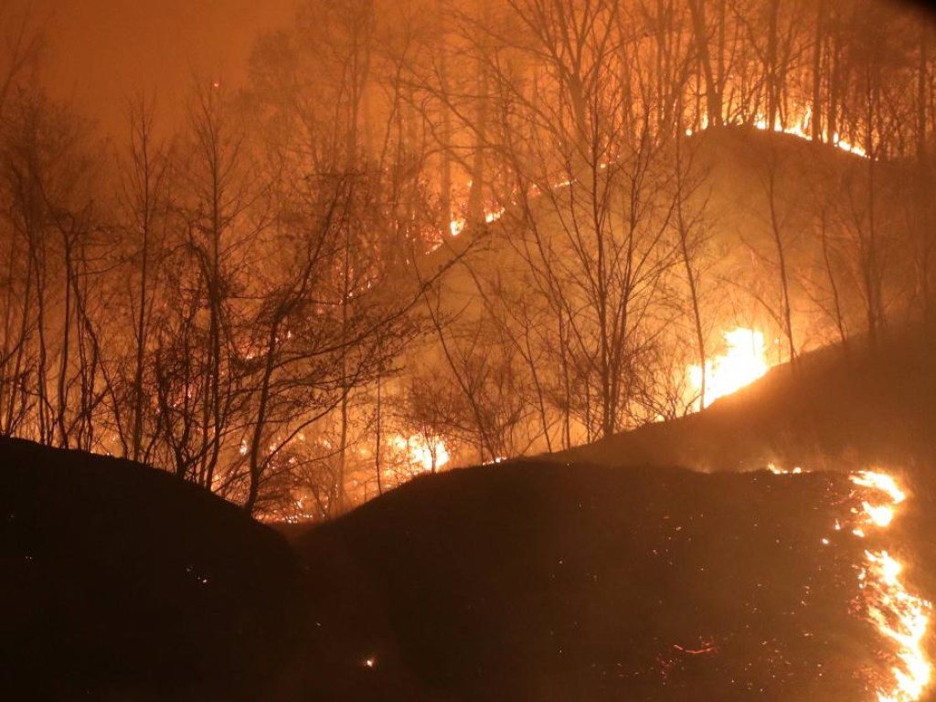 В Калифорнии из-за мощного природного пожара эвакуировали сотни людей (ФОТО)
