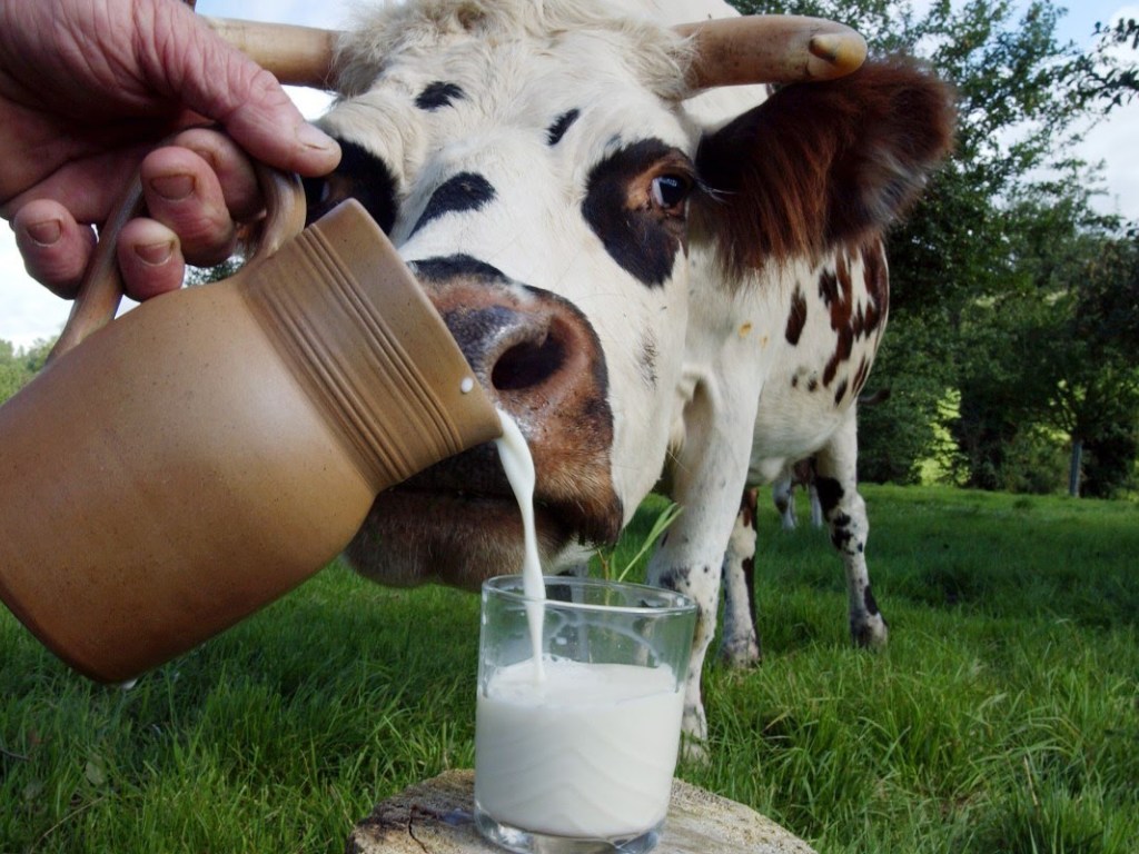 Если в Украине будет ранняя теплая весна, молоко начнет быстро дешеветь &#8212; эксперт