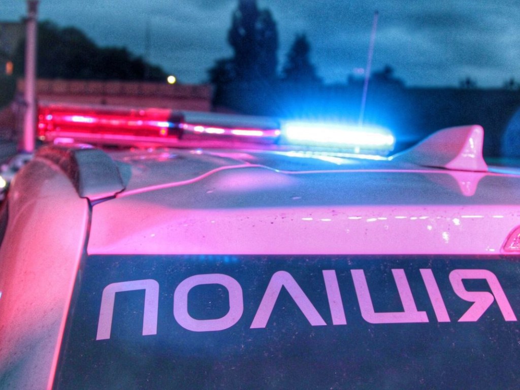 В Черкасской области злоумышленник травмировал полицейского