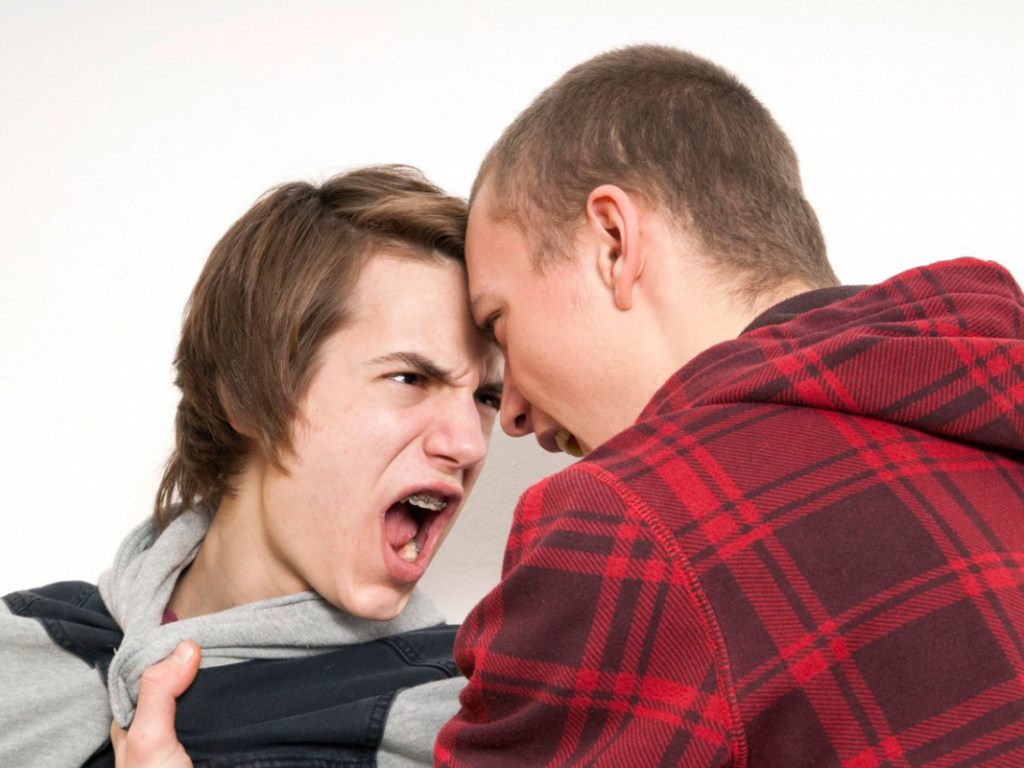 Н. Бугаева: «Причиной агрессивного поведения подростка может быть семейная среда»