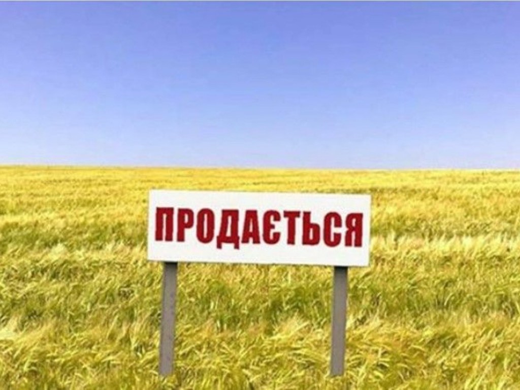 Референдум нужен власти, чтобы легализовать незаконную продажу украинской земли &#8212; юрист