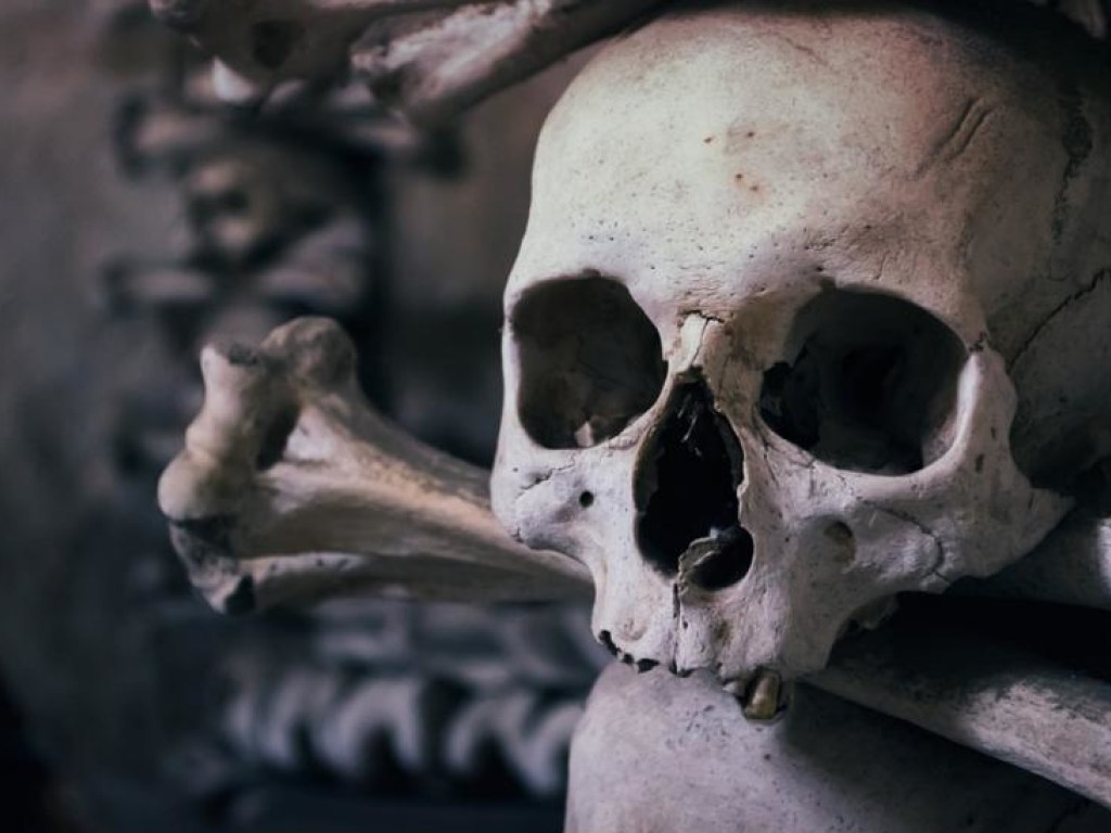 В затопленных пещерах Мексики обнаружили четыре загадочных черепа
