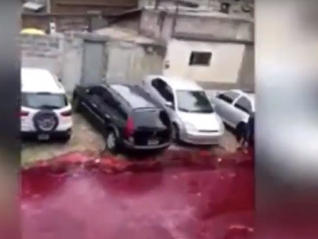 Невыносимое зловоние: в Аргентине кровью животных затопило улицу (ФОТО, ВИДЕО)