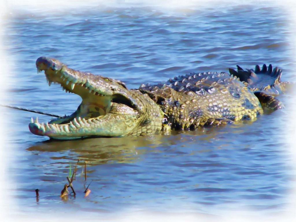 Ученые: крокодилы унаследуют планету после очередного вымирания
