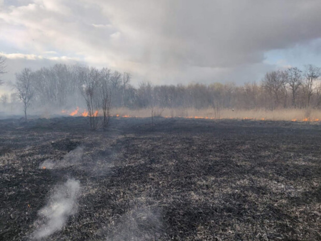 Масштабный пожар в Днепре: горели камыш и трава (ФОТО)
