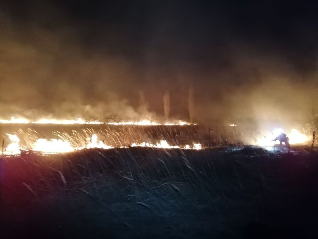 На Киевщине произошел масштабный пожар в экосистеме (ФОТО)