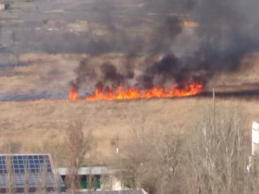 В окрестностях Херсона начался масштабный пожар: горят камыши (ФОТО)