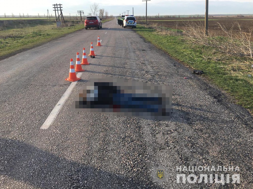 В Запорожской области водитель сбил на трассе женщину и бросил ее умирать (ФОТО)