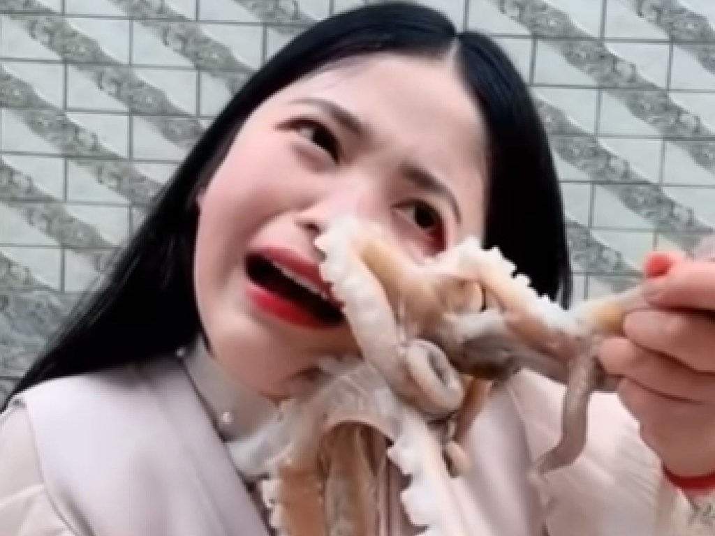 Молодая китаянка захотела съесть живого осьминога, но тот дал сдачи (ФОТО, ВИДЕО)