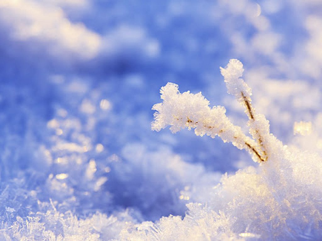 Похолодание и снег: Синоптики дали неутешительный прогноз на выходные