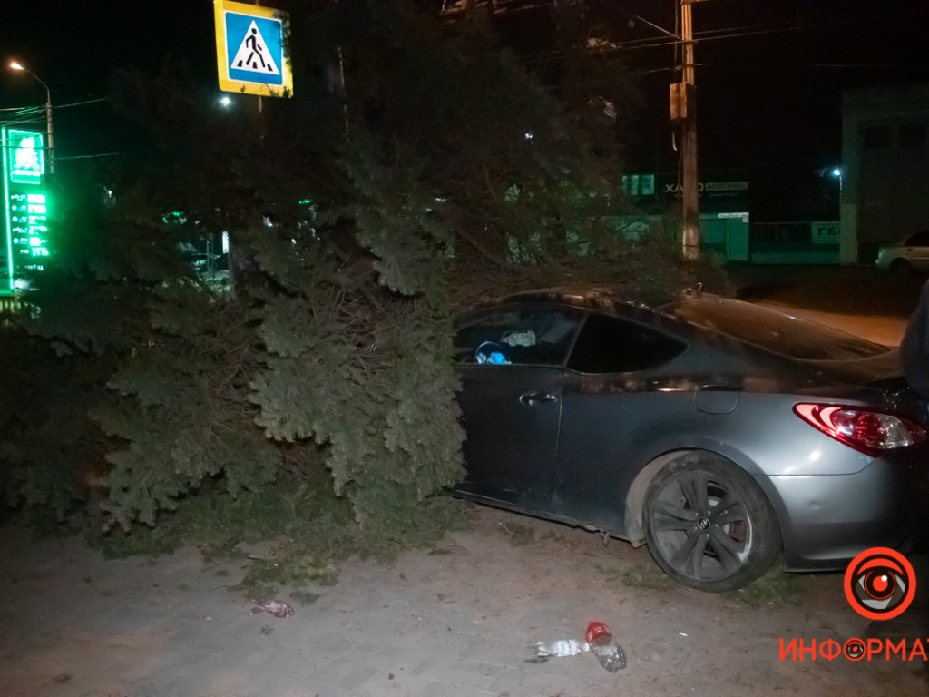 Двоих человек госпитализировали: В Днепре авто Hyundai свалило ёлку и забор (ФОТО)