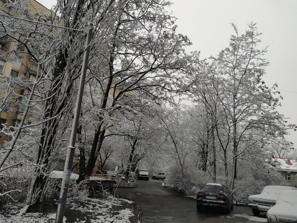 В Киев вернулась зима: столицу внезапно засыпало снегом (ФОТО)