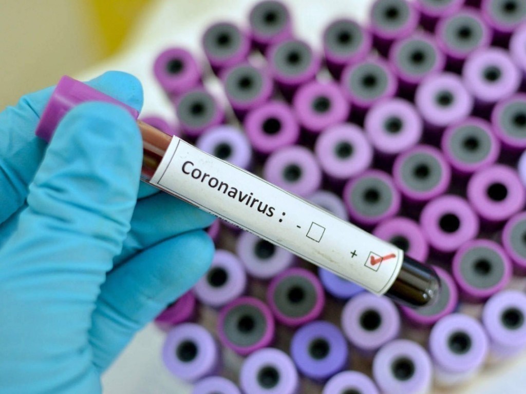 В мире от коронавируса умерли 14705 человек