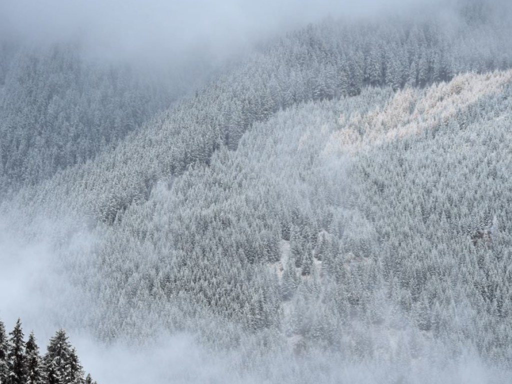 На границе Ивано-Франковской и Закарпатской областей гору засыпало снегом (ВИДЕО)