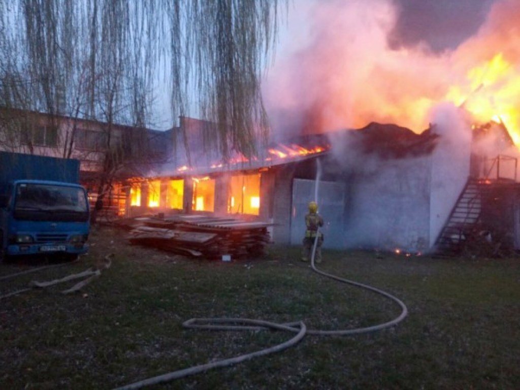Сгорела крыша: На Закарпатье произошел пожар в мебельном цеху (ФОТО)