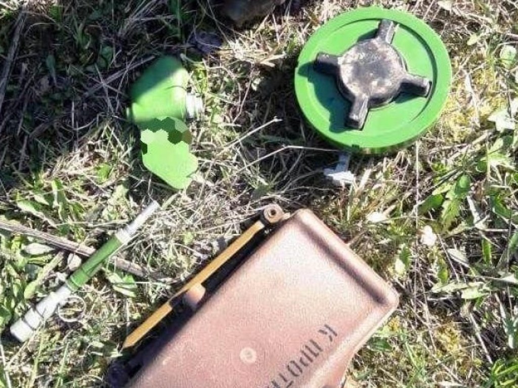 В Винницкой области мужчина прятал гранаты и мины в кустарниках (ФОТО)
