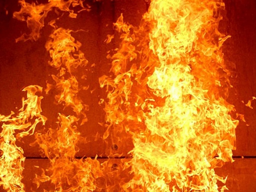 Пожар в промзоне: в Мелитополе сгорели микроавтобус и внедорожник