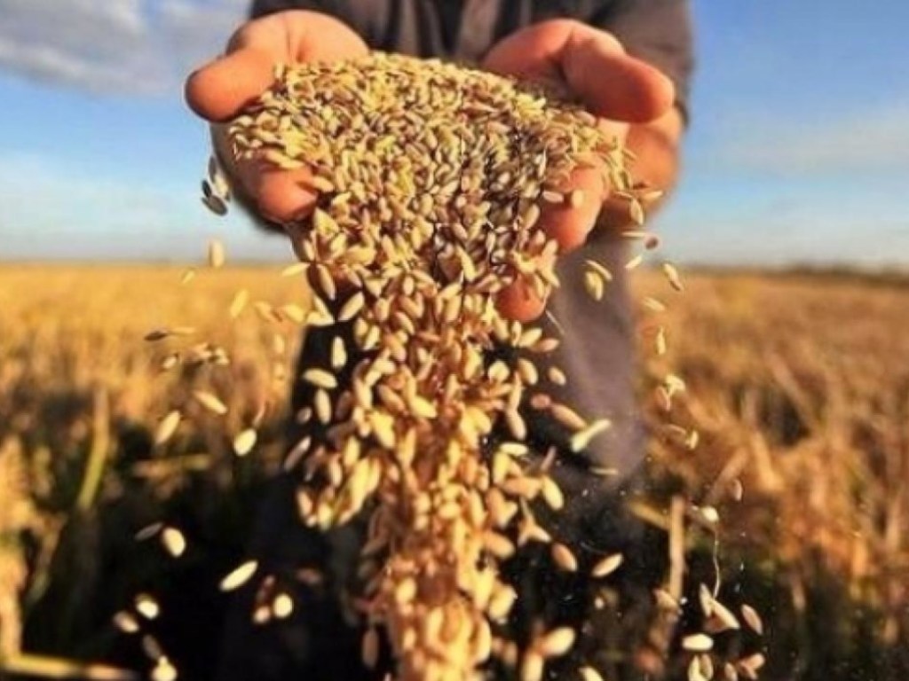 В Украине уменьшится вал аграрной продукции – эксперт