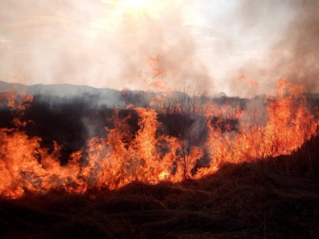 На Закарпатье произошел пожар на территории биосферного заповедника (ФОТО, ВИДЕО)