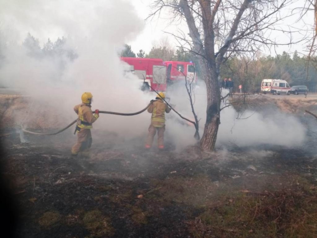 На херсонской трассе произошло смертельное ДТП: погибла женщина, на месте аварии загорелся лес (ФОТО)