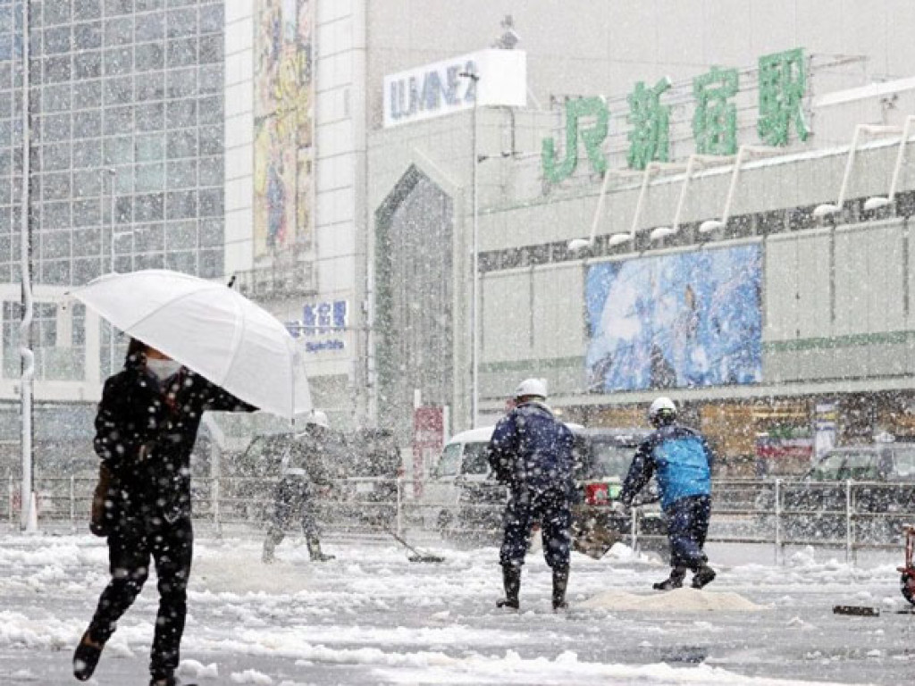 В конце марта столицу Японии неожиданно засыпало снегом (ФОТО, ВИДЕО)