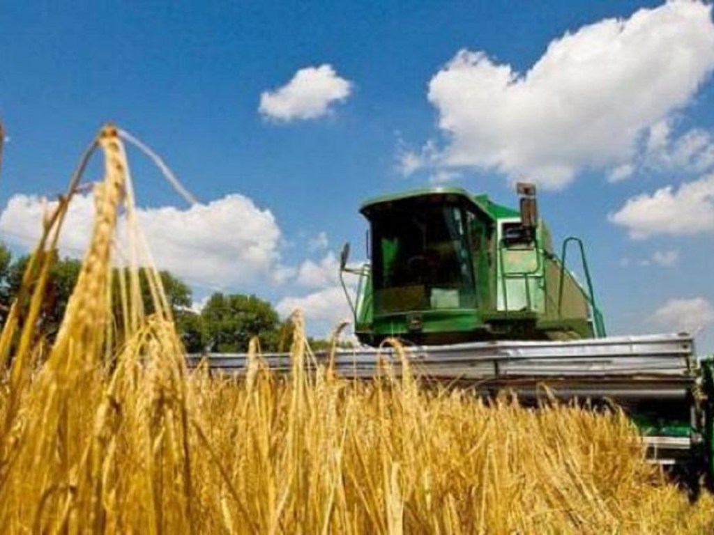 Украина нарастила экспорт агропродукции
